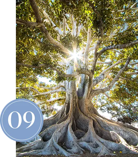09